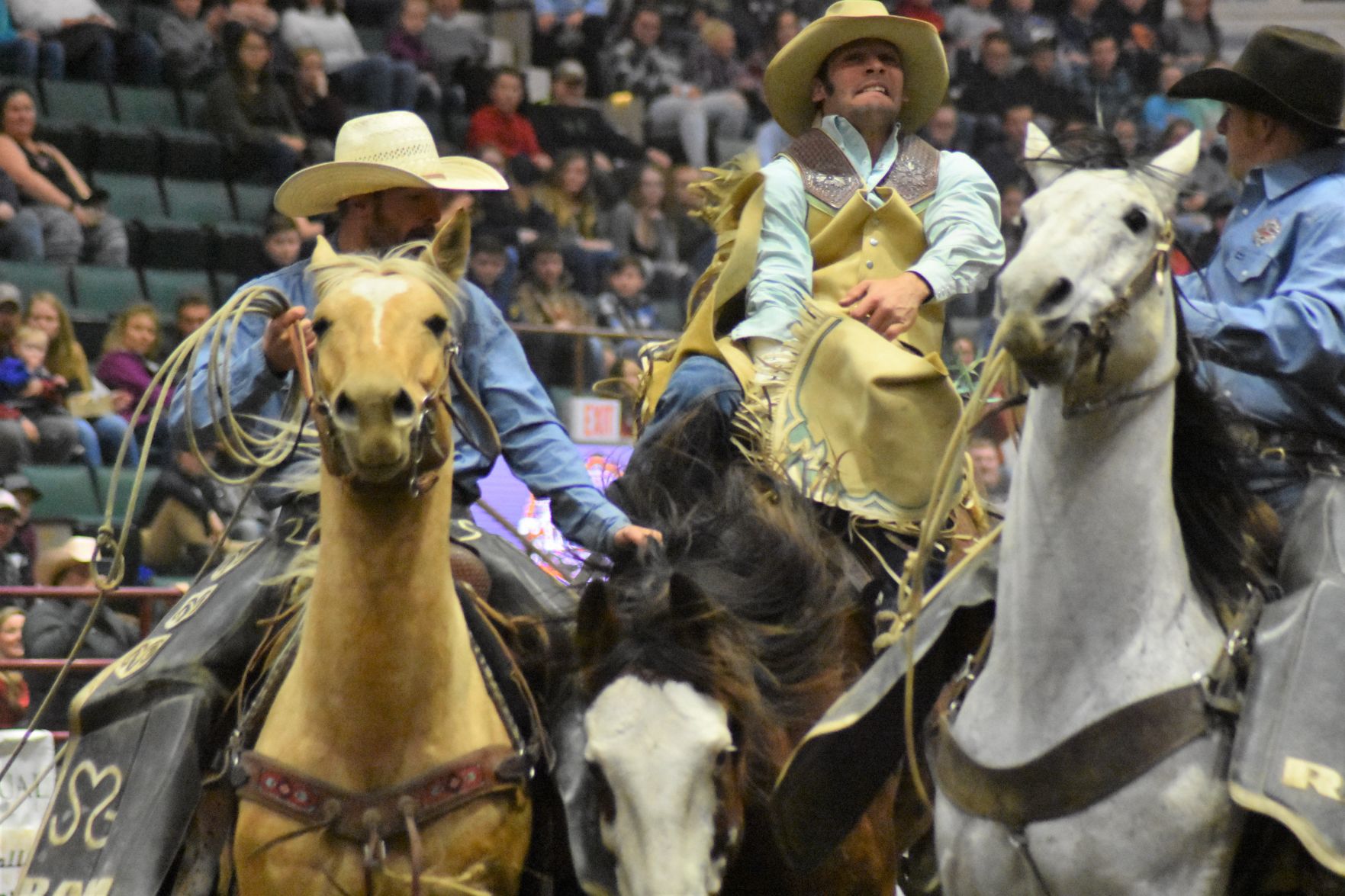 Rodeo